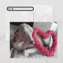 Zoek naar weimaraner briefkaarten Hond