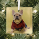 Recherche de french bulldog ornements Animaux domestiques