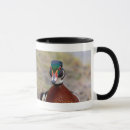 Recherche de canards sauvages tasses Sauvagine