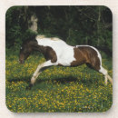 Zoek naar paarden onderzetters Ruitsport