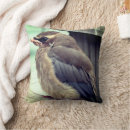 Recherche de cèdre coussins Oiseau