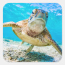 Recherche de plongée sous marine autocollants Tortue de mer
