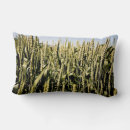 Recherche de vert de pelouse coussins Plante