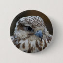Recherche de prédateur badges Oiseau de proie