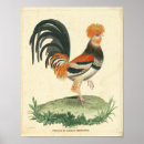 Recherche de copies vintages posters Cuisine