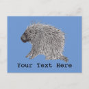 Recherche de porc épic cartes postales Nature