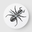 Recherche de fourmi horloges Animal