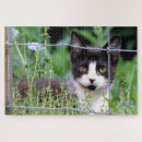 Recherche de chat smoking puzzles Fleurs