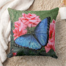 Recherche de papillon bleu morpho coussins Nature
