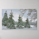 Recherche de neige couverte posters Nature