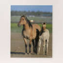 Recherche de cheval mustang puzzles Race