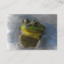 Recherche de de grenouille cartes visite Animaux