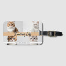 Recherche de chat noël bagages étiquettes Mignon
