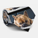 Recherche de french bulldog cravates Chien