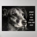 Zoek naar hond posters Quote