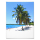 Recherche de cubain posters Tropical