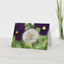 Recherche de pissenlit vœux cartes Fleur