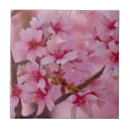 Recherche de fleurs de cerisier carreaux Sakura