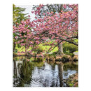 Zoek naar kersenbloesem kunst Botanisch
