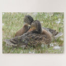 Recherche de affection puzzles Animal