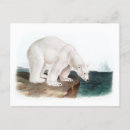 Recherche de ursus Faune