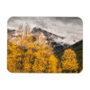 Recherche de alpin magnets Tremble