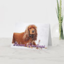 Zoek naar cockers kaarten Puppies