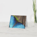 Recherche de papillon bleu morpho vœux cartes Ailes