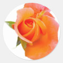 Recherche de stikers autocollants Fleur