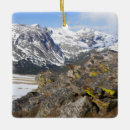 Recherche de ventre ornements Faune