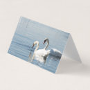 Recherche de cygnes cartes visite Beau