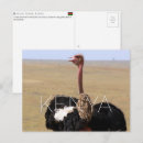 Recherche de le kenya cartes postales Masai mara