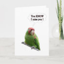 Recherche de conures vœux cartes Oiseau