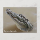 Recherche de le crocodile cartes postales Family