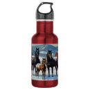 Recherche de cheval noir gourdes Chevaux