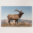 Recherche de mammoth puzzles Wyoming