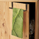 Recherche de biologie cuisine linges Plante