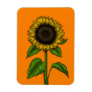 Recherche de vecteur magnets Nature