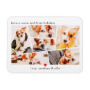 Recherche de compagnie magnets Animal