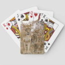 Recherche de africain jeux de cartes Lion