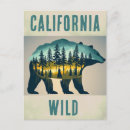 Recherche de bear cartes postales Californie