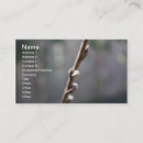 Recherche de bourgeons cartes visite Bourgeonnement