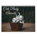 Zoek naar baby dieren kalenders Katten