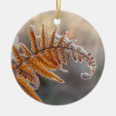 Recherche de froid ornements Gel