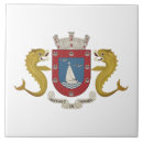 Zoek naar puerto rico tegels Boricua