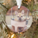 Recherche de french bulldog ornements Jeune animal