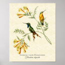 Zoek naar tropische vogels kunst Natuur