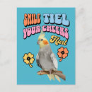 Recherche de perroquets cartes postales Cocktail