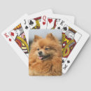 Recherche de spitz jeux de cartes Loulou