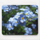 Recherche de myosotis tapis souris Jardin